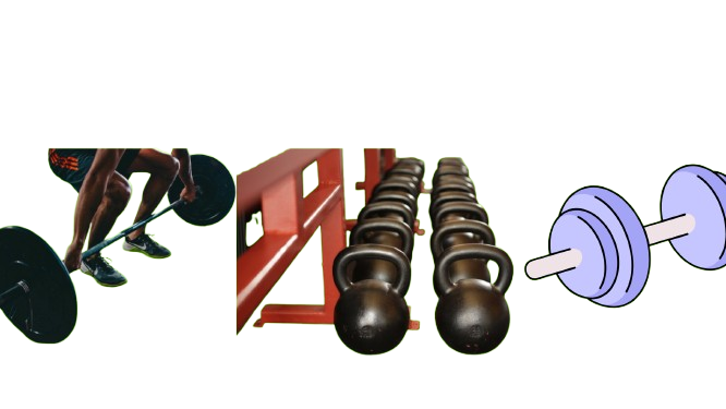 proper diet for weight loss