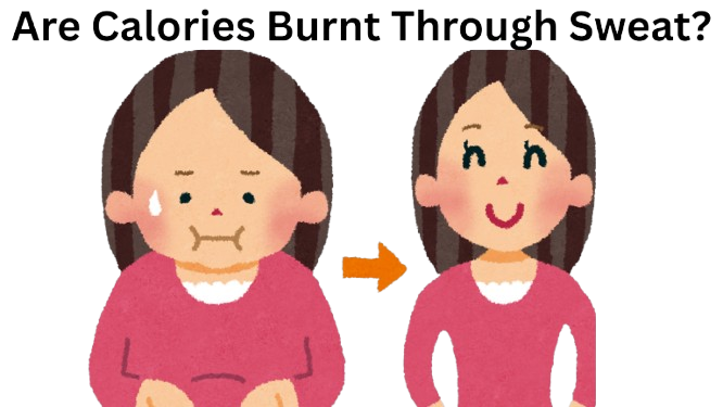 Sweating Help You Lose Weight